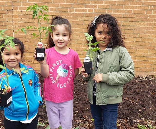 61954303_2806316286062083_161473345647280128_o